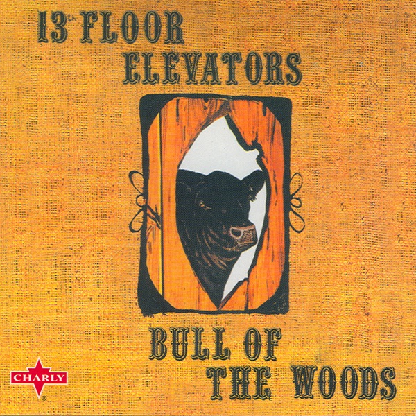 The 13th Floor Elevators - Bull of the Woods Vinyl Cover